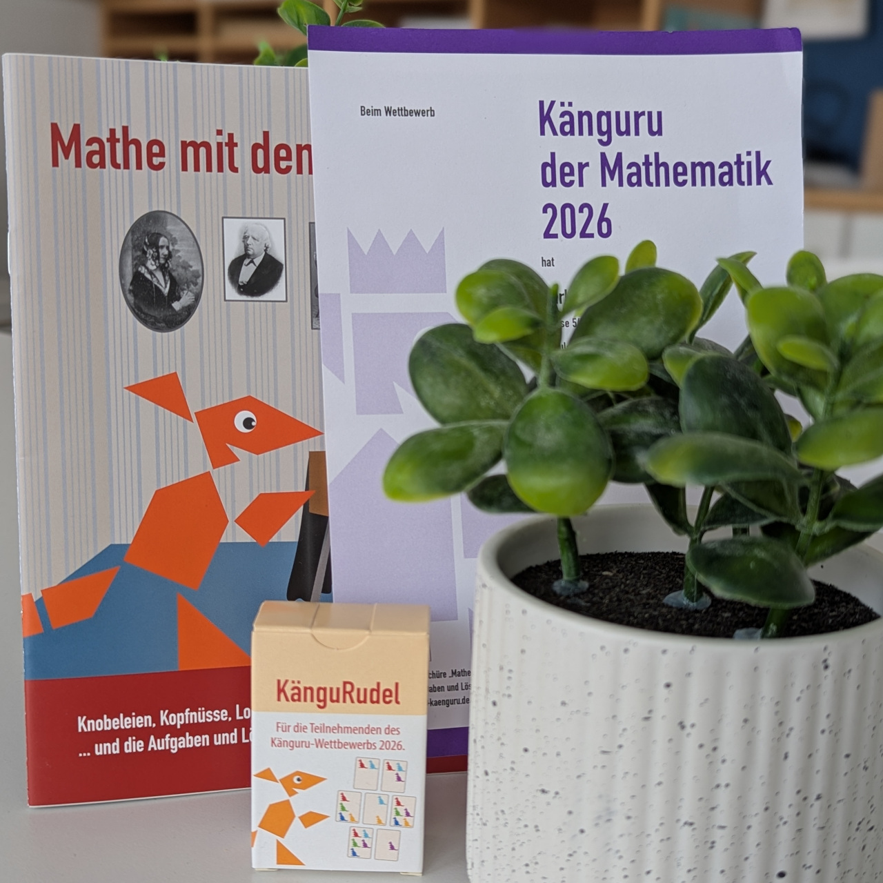Erfolgreicher Känguruwettbewerb 2026